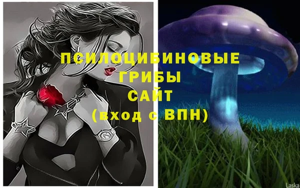 крисы Волоколамск