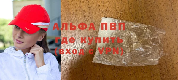 PSILOCYBIN Вяземский