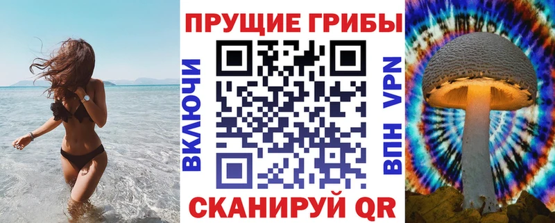 Купить где  Купино  Галлюциногенные грибы Psilocybine cubensis 